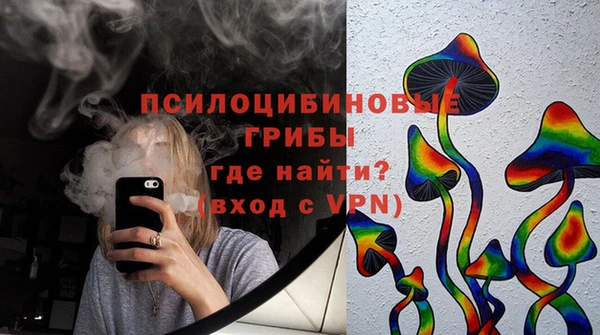 мдпв Кинешма