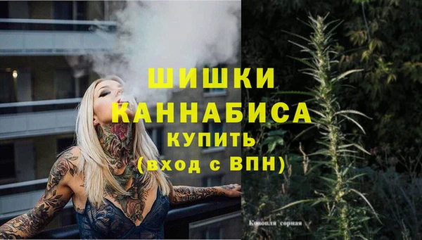 мдпв Кинешма