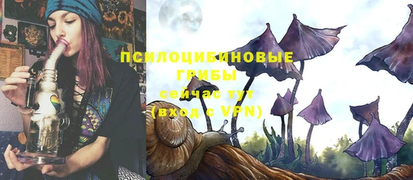 мдпв Кинешма