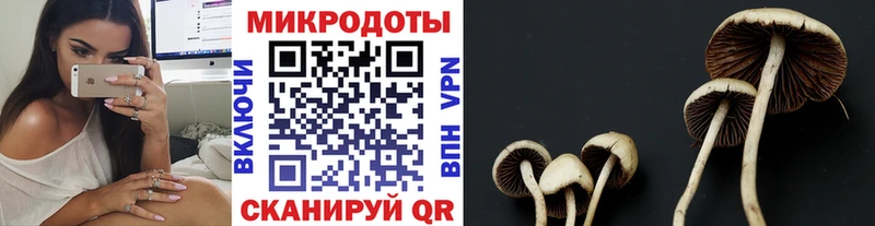 Галлюциногенные грибы мухоморы  Купить закладки  Давлеканово 
